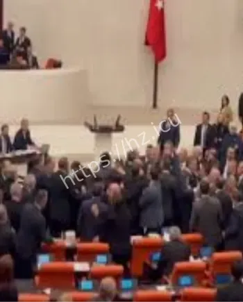 土耳其议会爆发斗殴